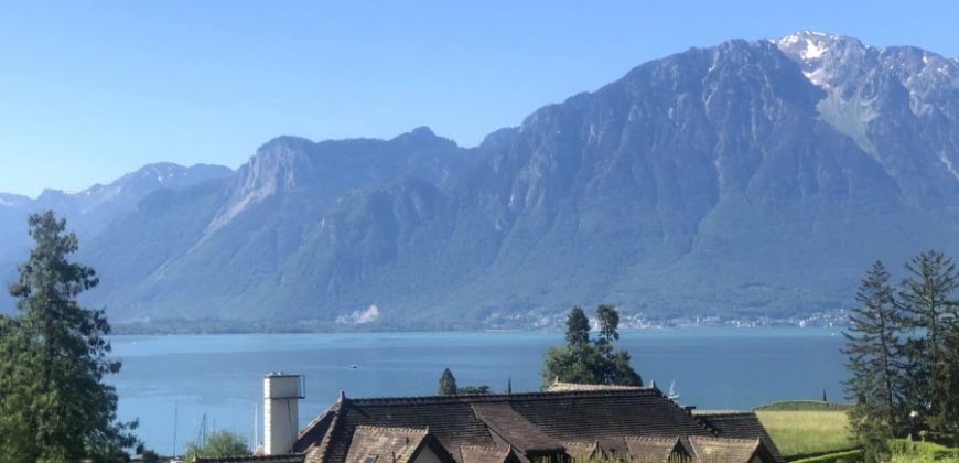 Appartement en attique proche du lac