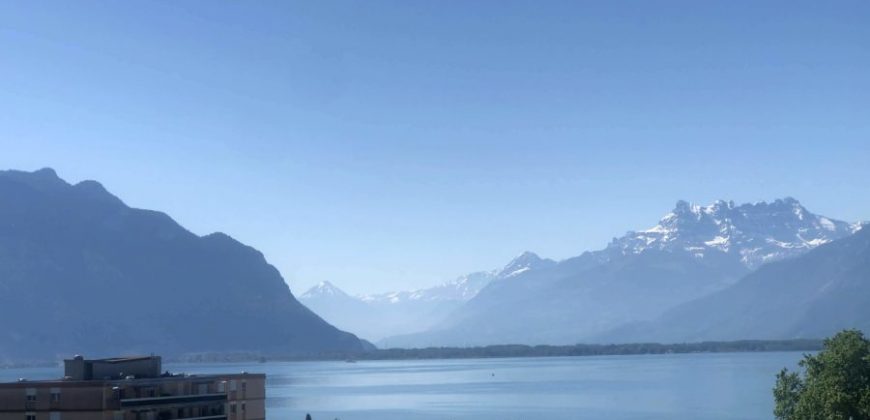 Appartement en attique proche du lac